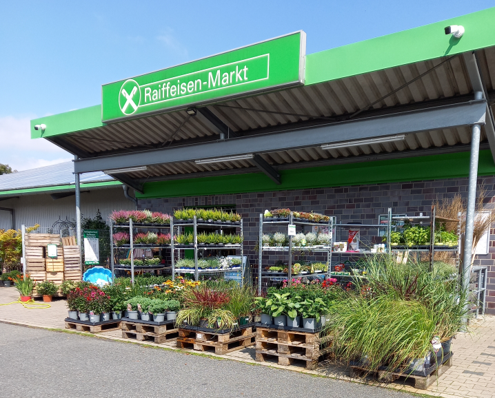 20240424 Barnstorf Planzen klein